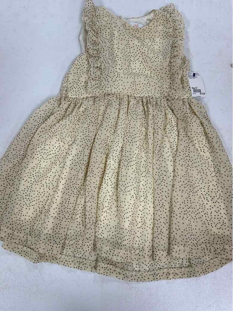 Bailey Blossoms (C) Cream Toddler Size 5T Girls CasualDress