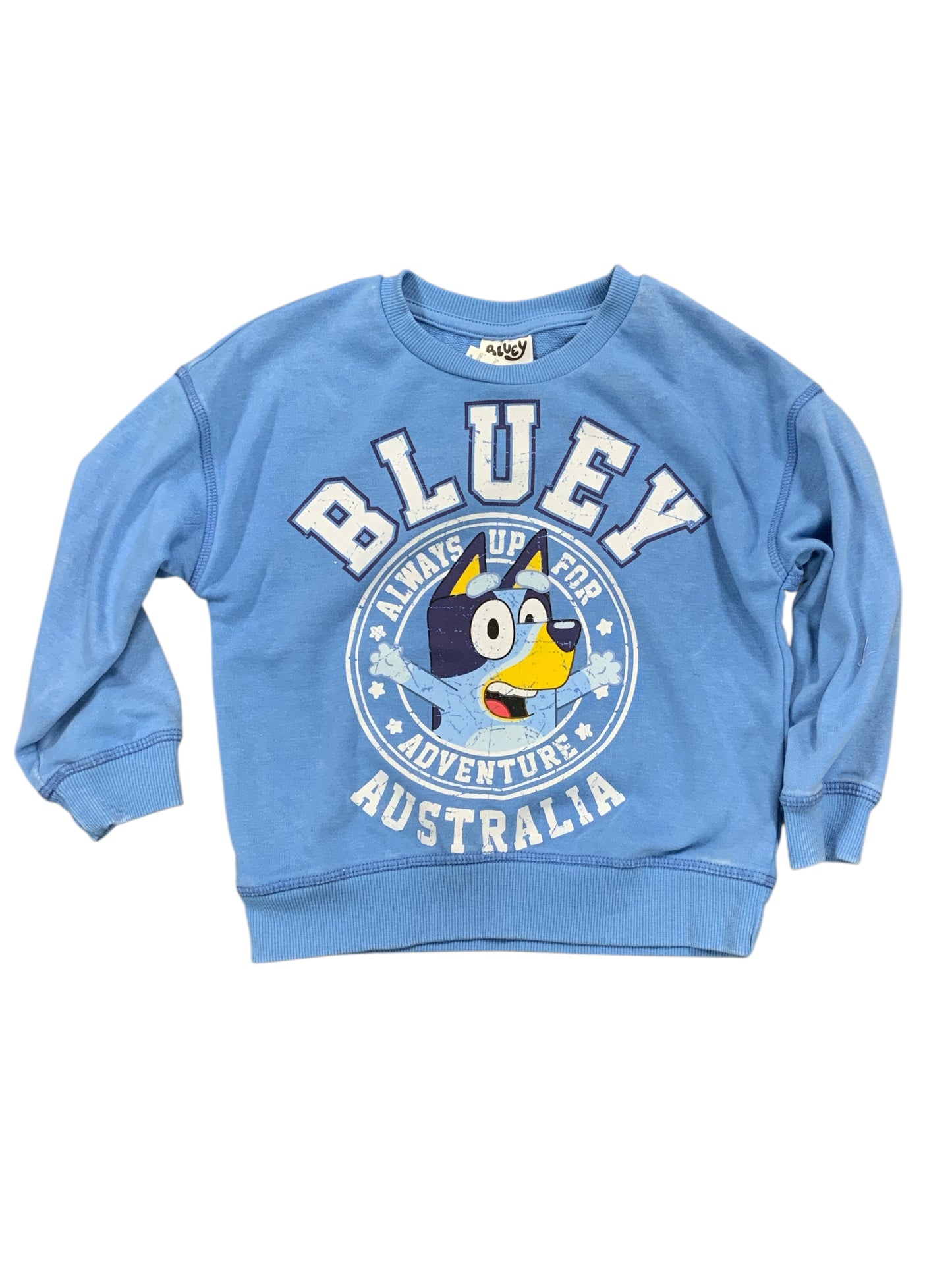 BLUEY Blue Toddler Size 4T Boys LSTop