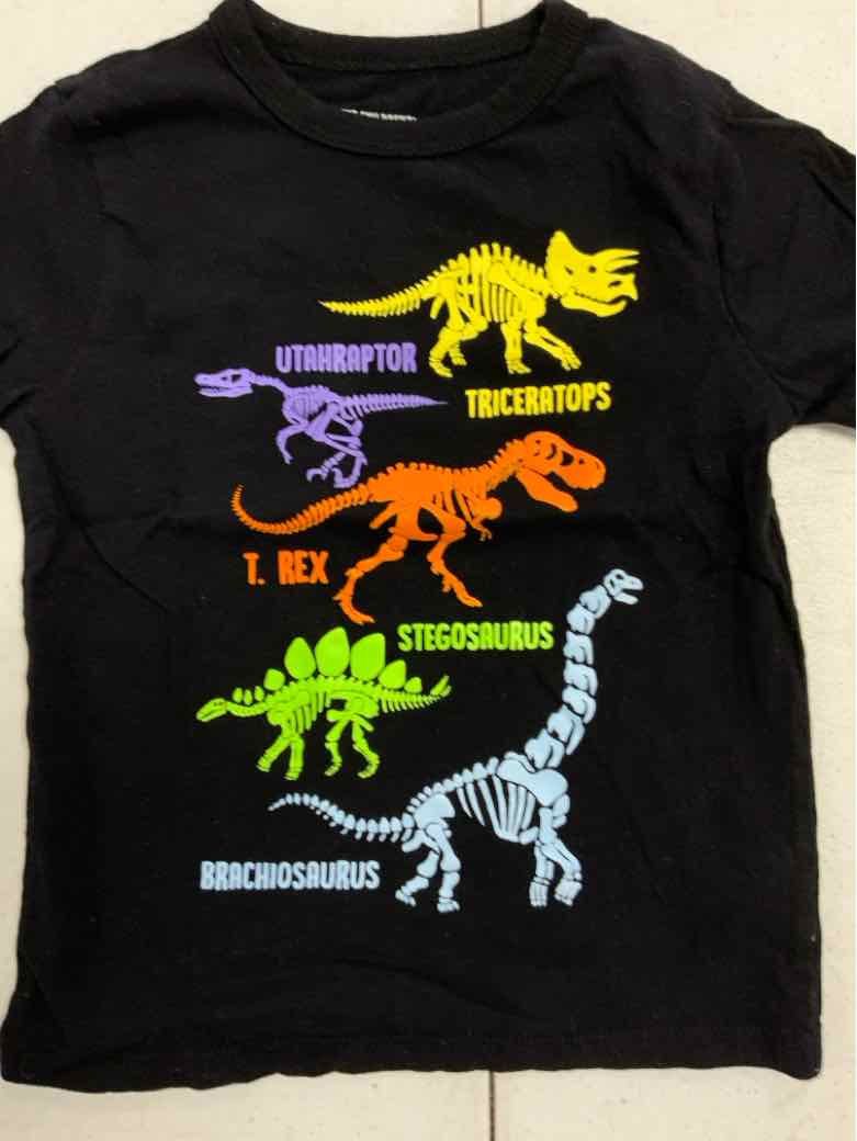 Children's Place (D) Black Toddler Size 4T Boys SSTop