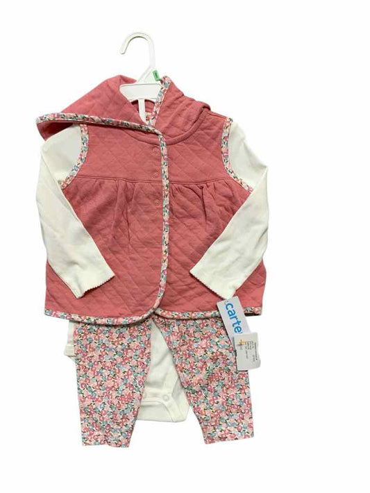 Carters (C) Pink Infant Size 18 MO Girls 3PC Casual
