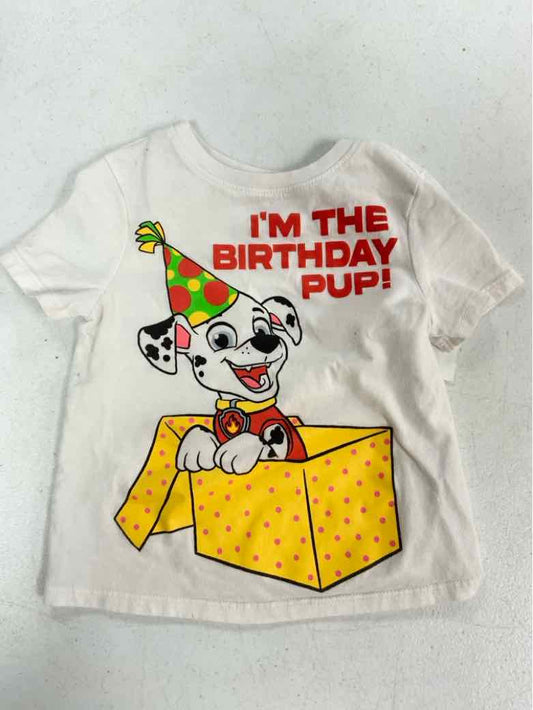 Nickelodeon (C) White Toddler Size 2T Boys SSTop