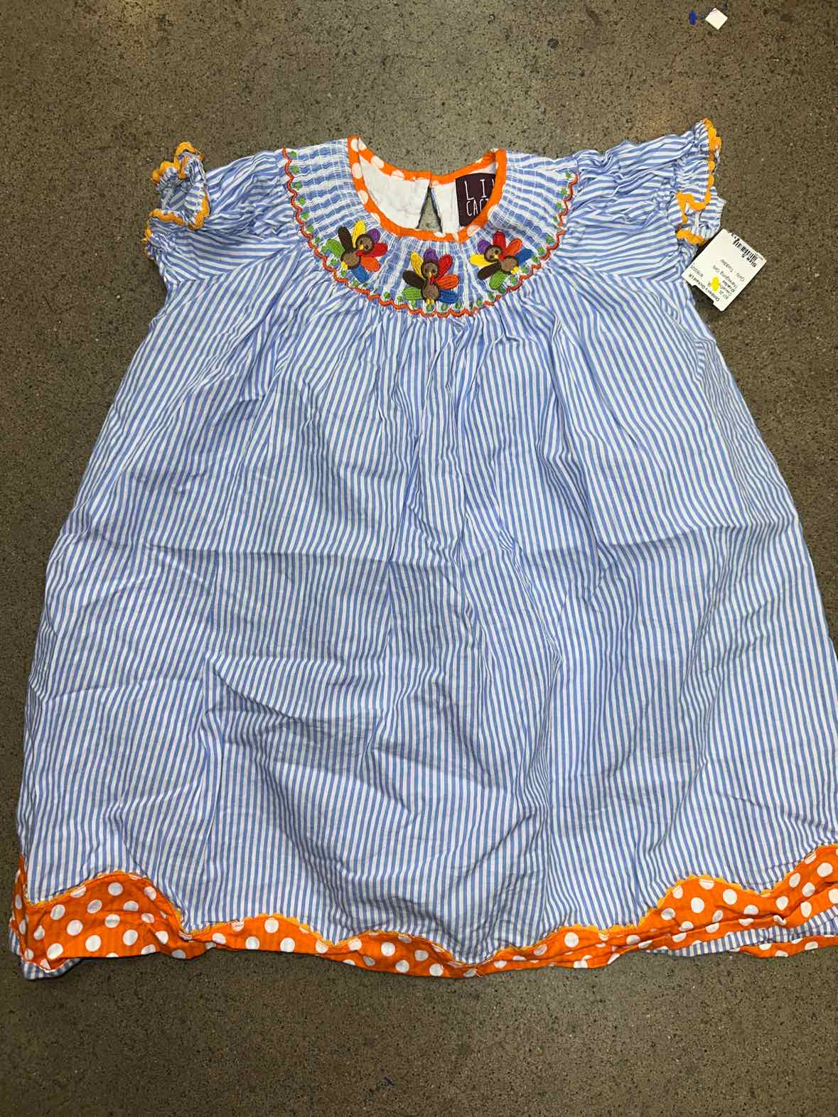 lil cactus Thanksgiving Toddler Size 5 Girls CasualDress