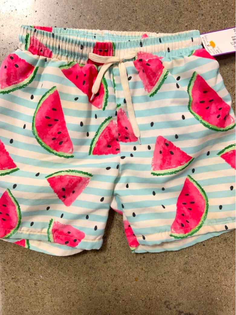 SHEIN Blue Toddler Size 2T Boys SwimTrunks