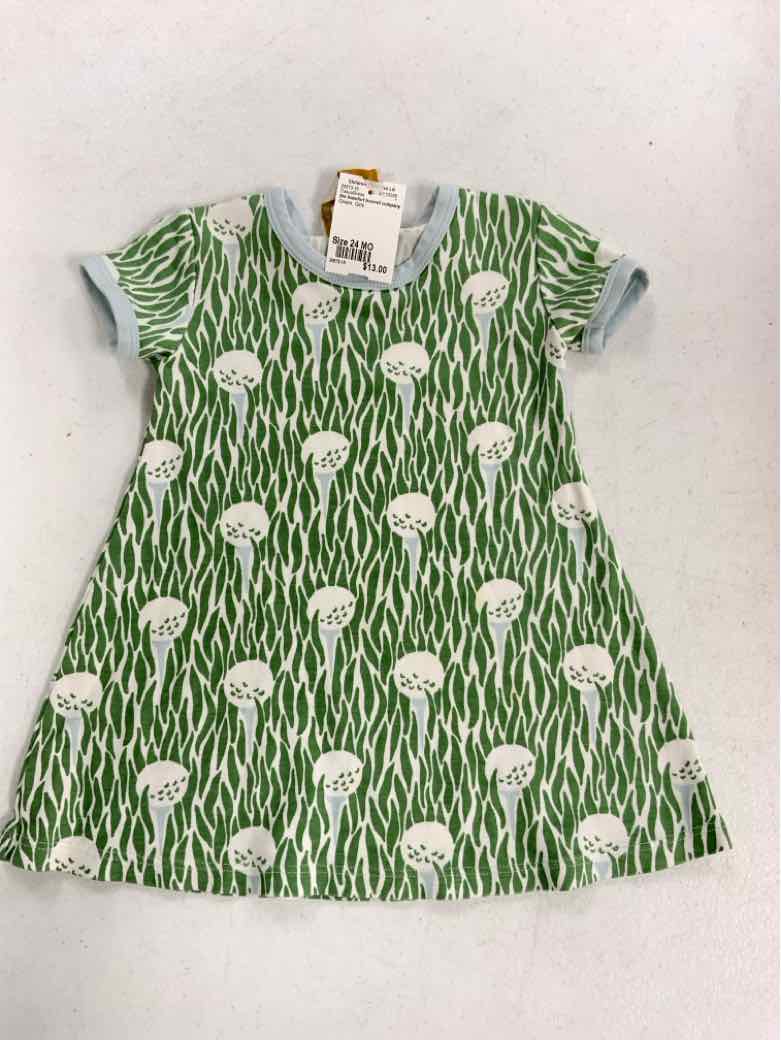 the beaufort bonnet company Green Infant Size 24 MO Girls CasualDress