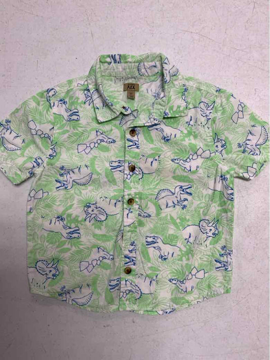 MAXIMUS REX Green Toddler Size 3T Boys ButtondownSS
