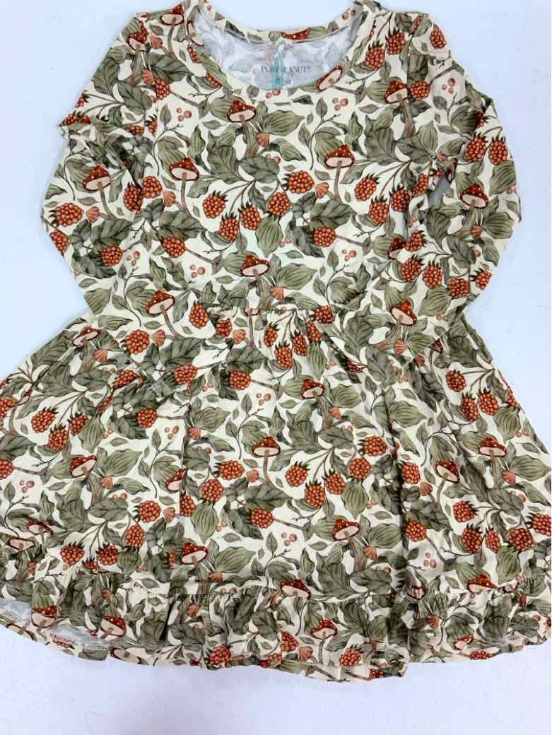 Posh Peanut (A) Green Toddler Size 4T Girls CasualDress